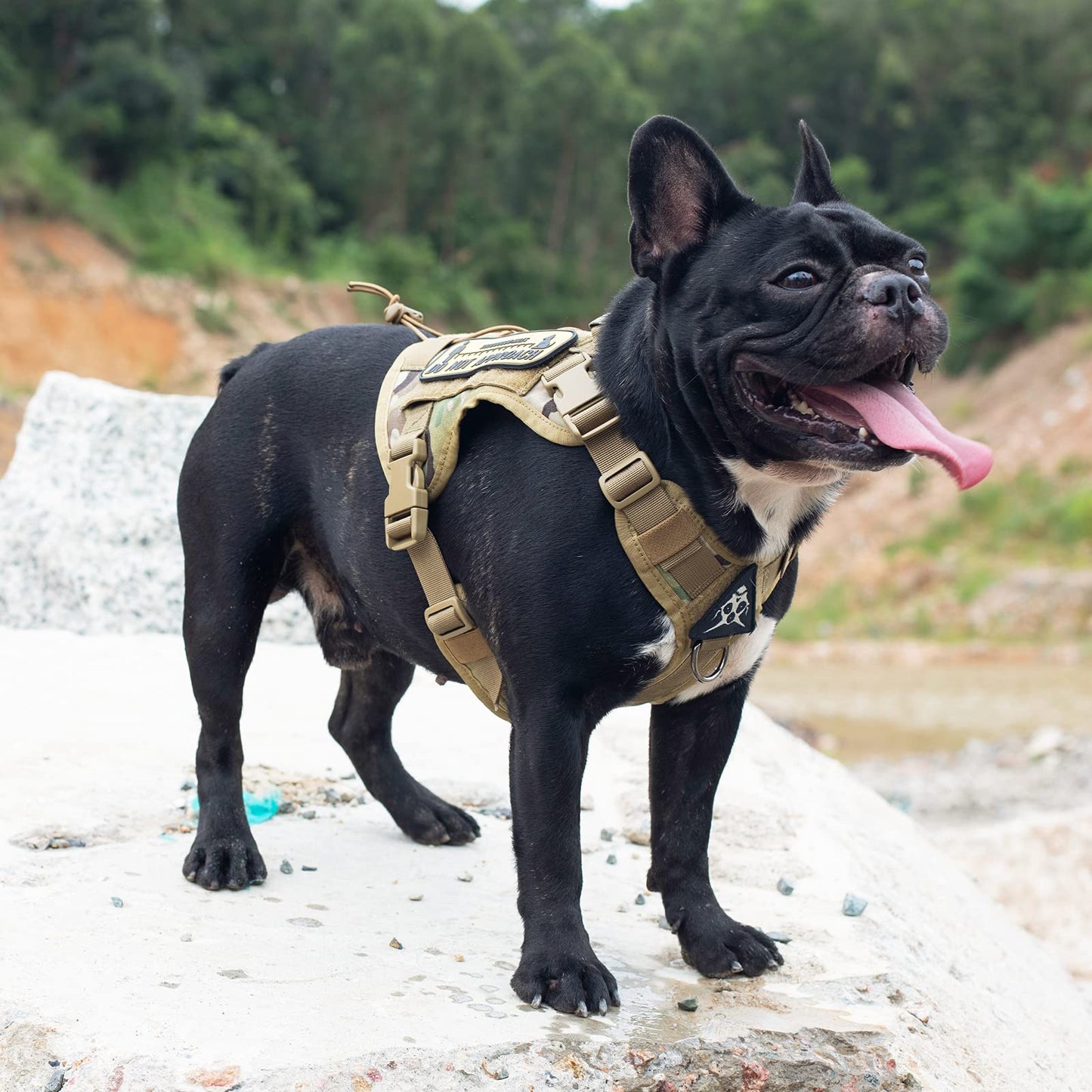 OneTigris Tactical Dog Harness - Fire Watcher Comfortable Patrol Vest (Black, Medium)