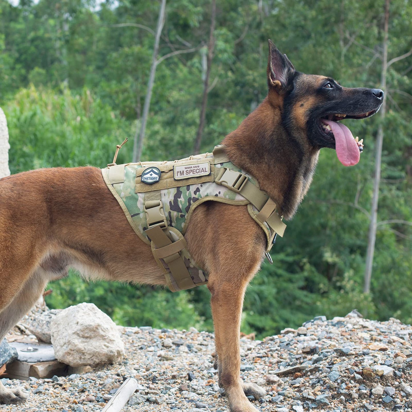 OneTigris Tactical Dog Harness - Fire Watcher Comfortable Patrol Vest (Black, Medium)