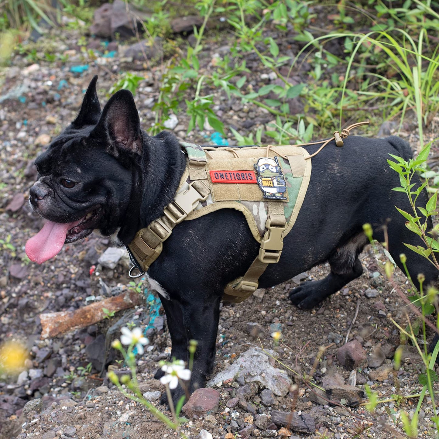 OneTigris Tactical Dog Harness - Fire Watcher Comfortable Patrol Vest (Black, Medium)