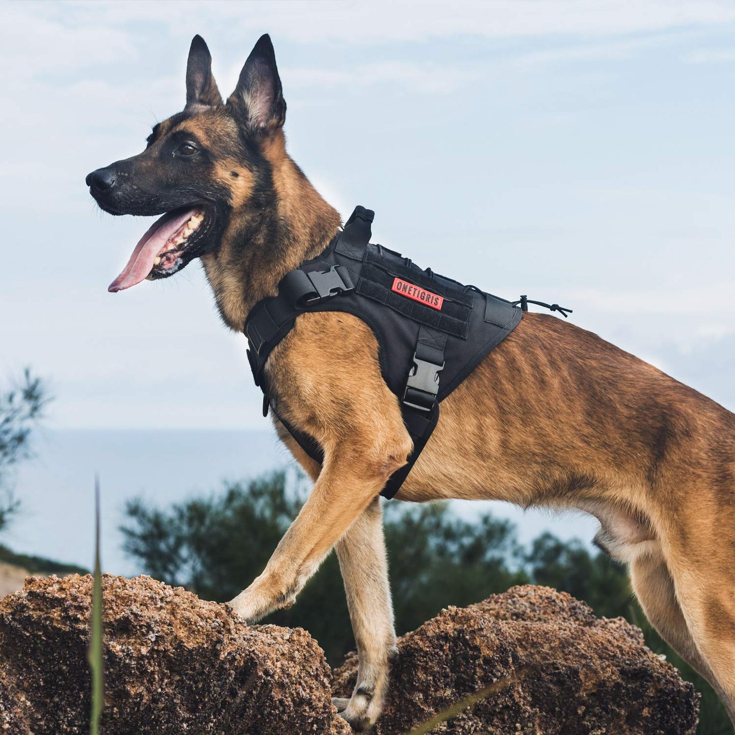 OneTigris Tactical Dog Harness - Fire Watcher Comfortable Patrol Vest (Black, Medium)