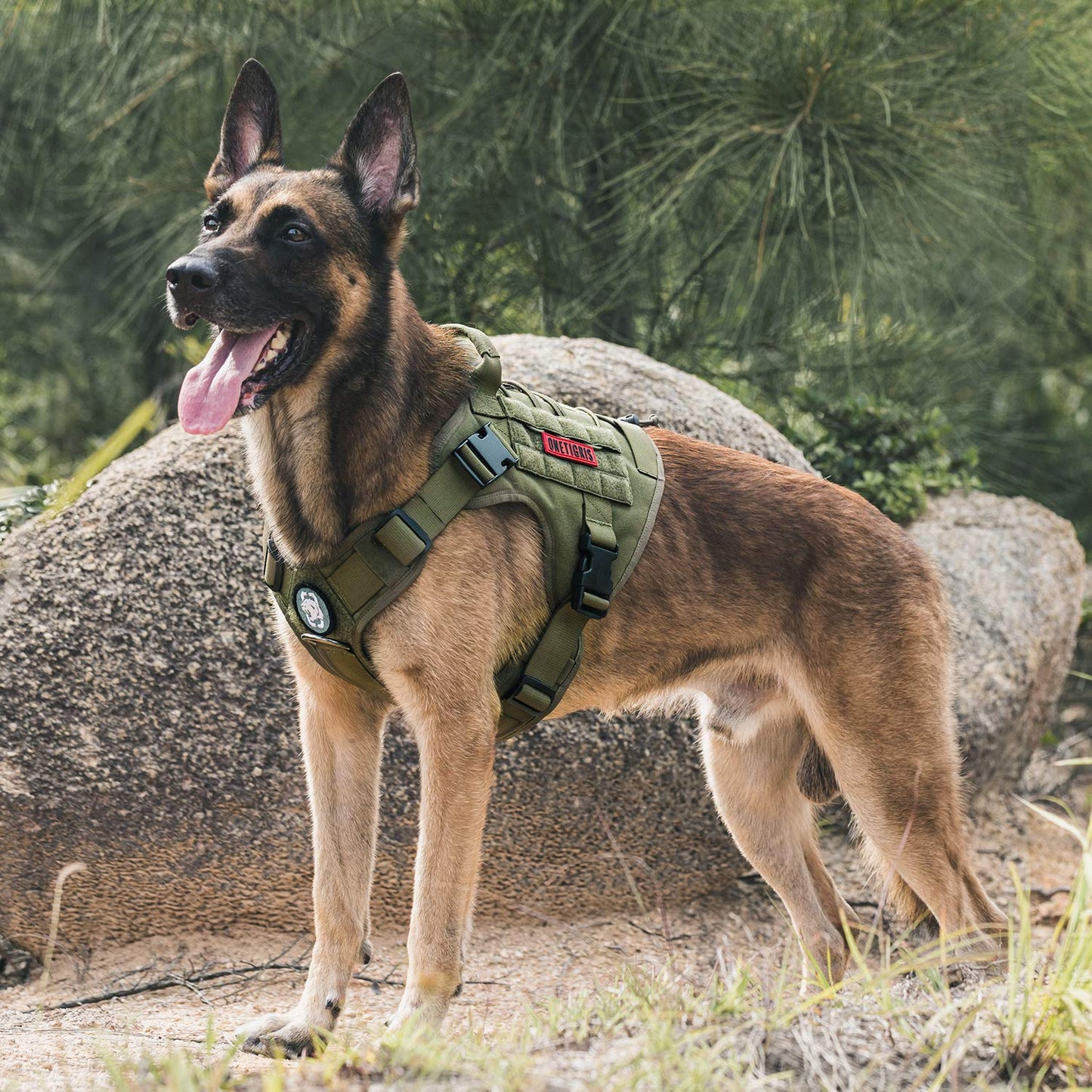 OneTigris Tactical Dog Harness - Fire Watcher Comfortable Patrol Vest (Black, Medium)