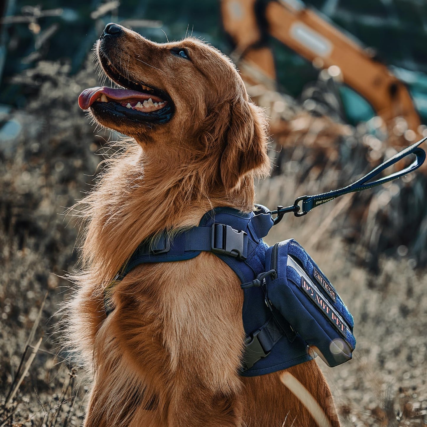 OneTigris Tactical Dog Harness - Fire Watcher Comfortable Patrol Vest (Black, Medium)