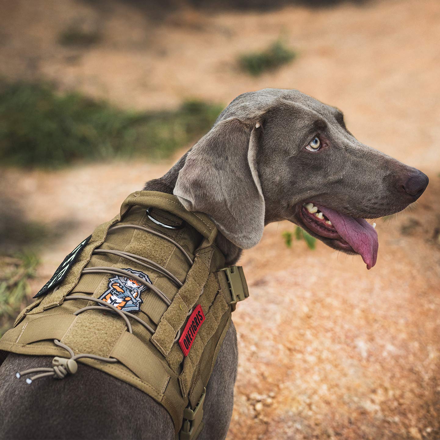 OneTigris Tactical Dog Harness - Fire Watcher Comfortable Patrol Vest (Black, Medium)