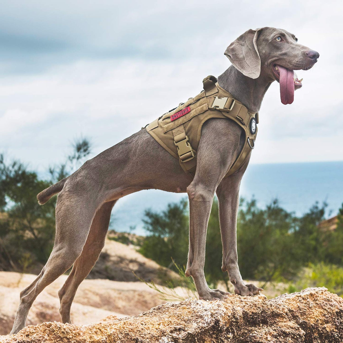 OneTigris Tactical Dog Harness - Fire Watcher Comfortable Patrol Vest (Black, Medium)