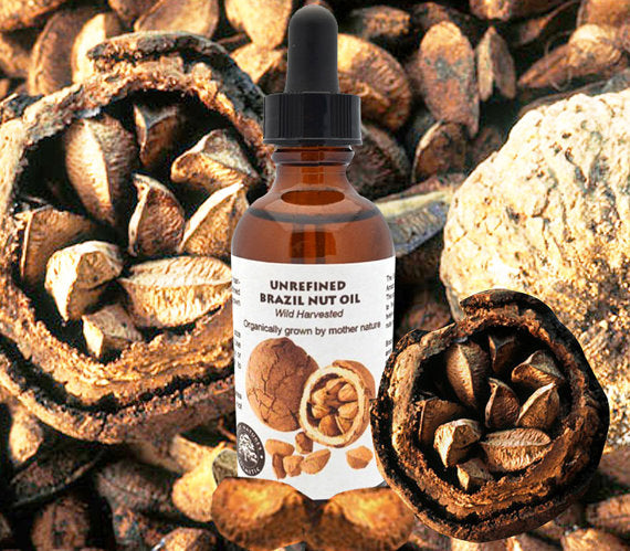 ORGANIC Brazil Nut Oil