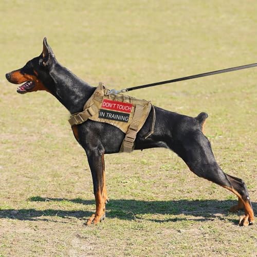 Service Dog Patch 8 Pcs, Do Not Pet, Best Friend, in Training, Emotional Support Patch, (Small -1.18 x 4.33)