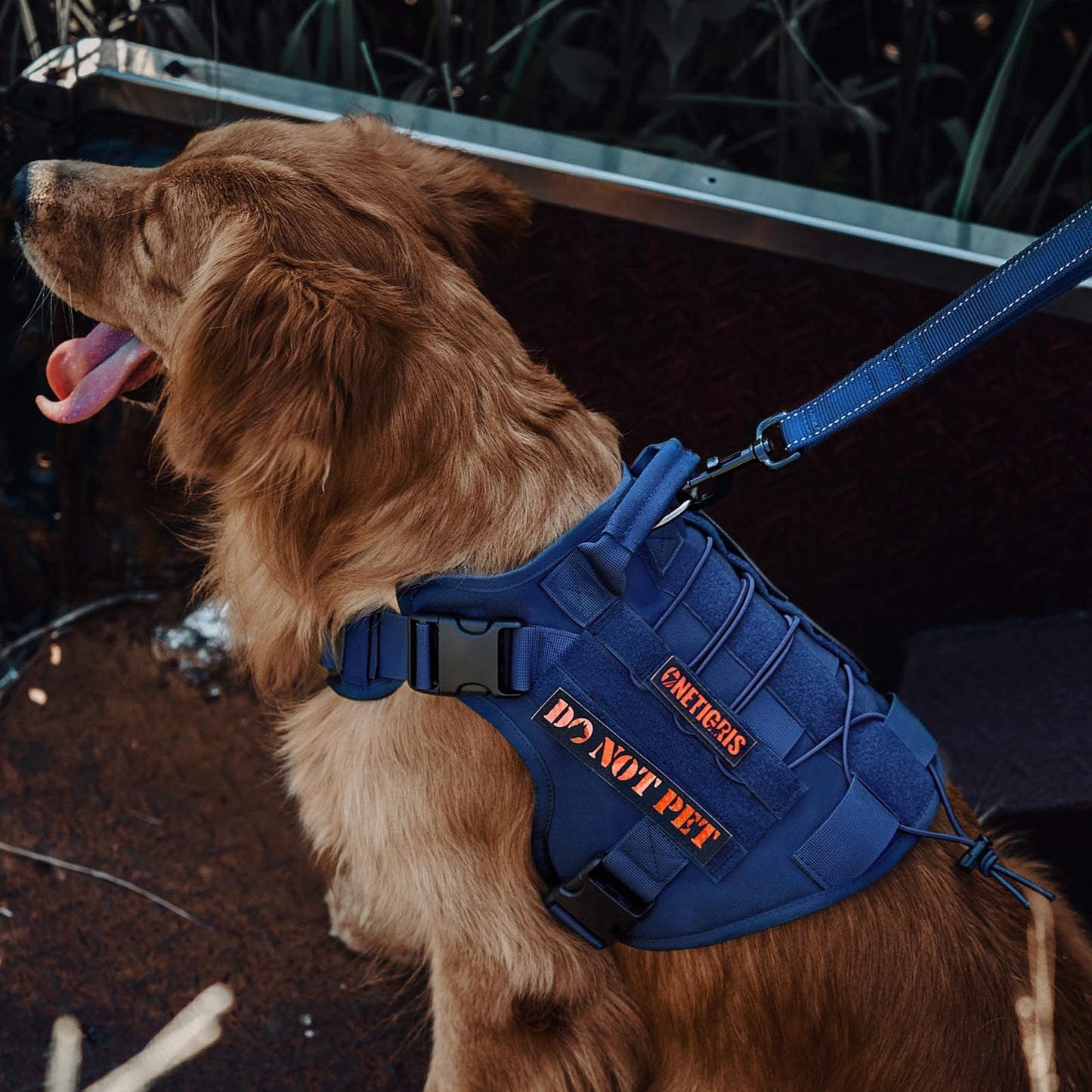 OneTigris Tactical Dog Harness - Fire Watcher Comfortable Patrol Vest (Black, Medium)