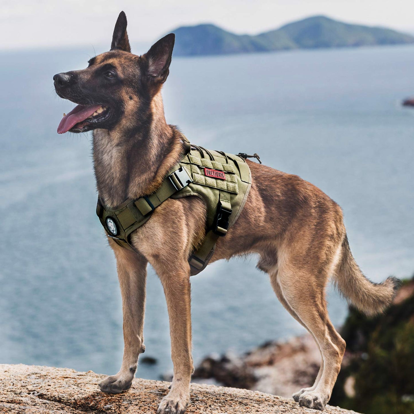 OneTigris Tactical Dog Harness - Fire Watcher Comfortable Patrol Vest (Black, Medium)
