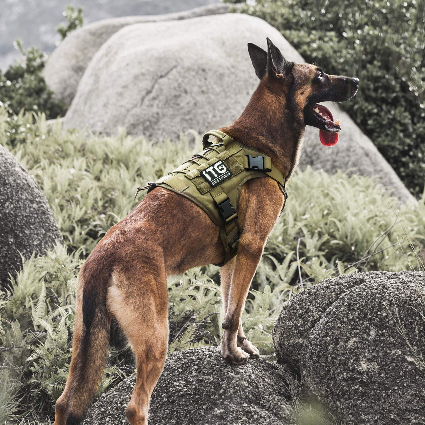 OneTigris Tactical Dog Harness - Fire Watcher Comfortable Patrol Vest (Black, Medium)