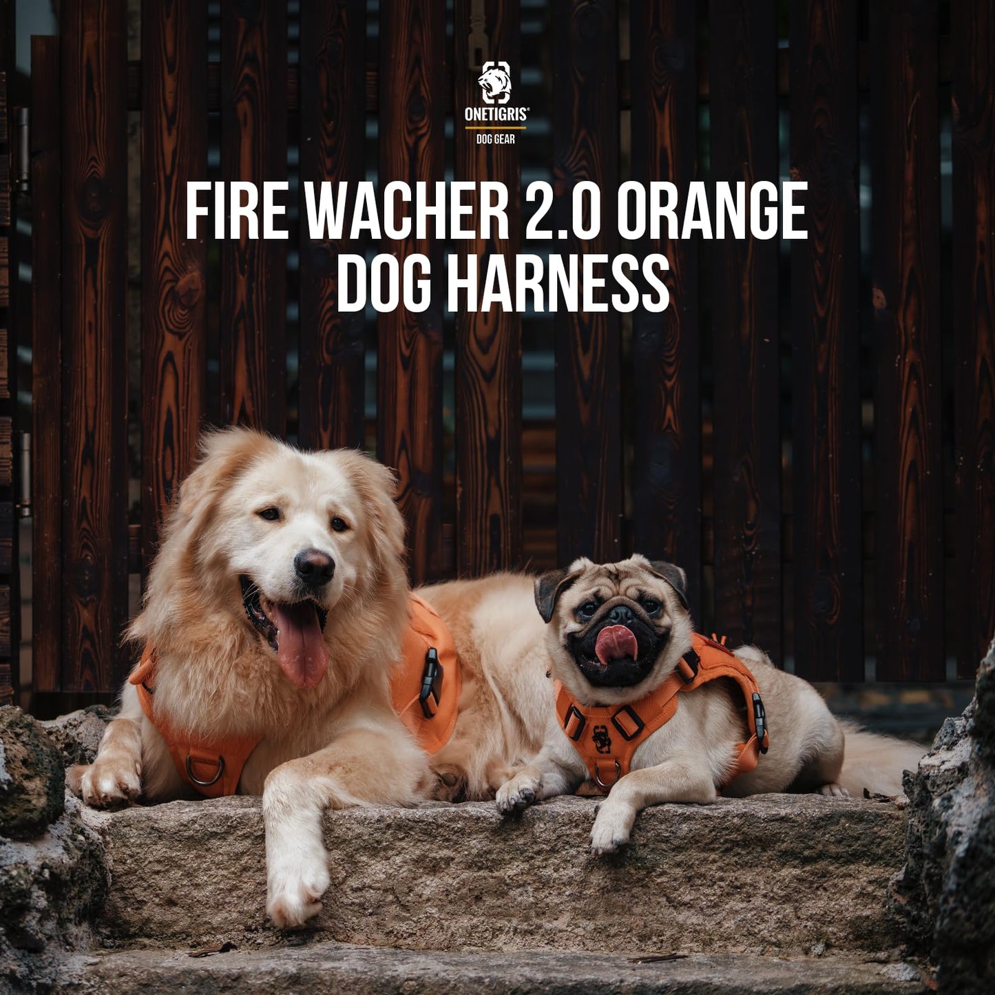 OneTigris Tactical Dog Harness - Fire Watcher Comfortable Patrol Vest (Black, Medium)