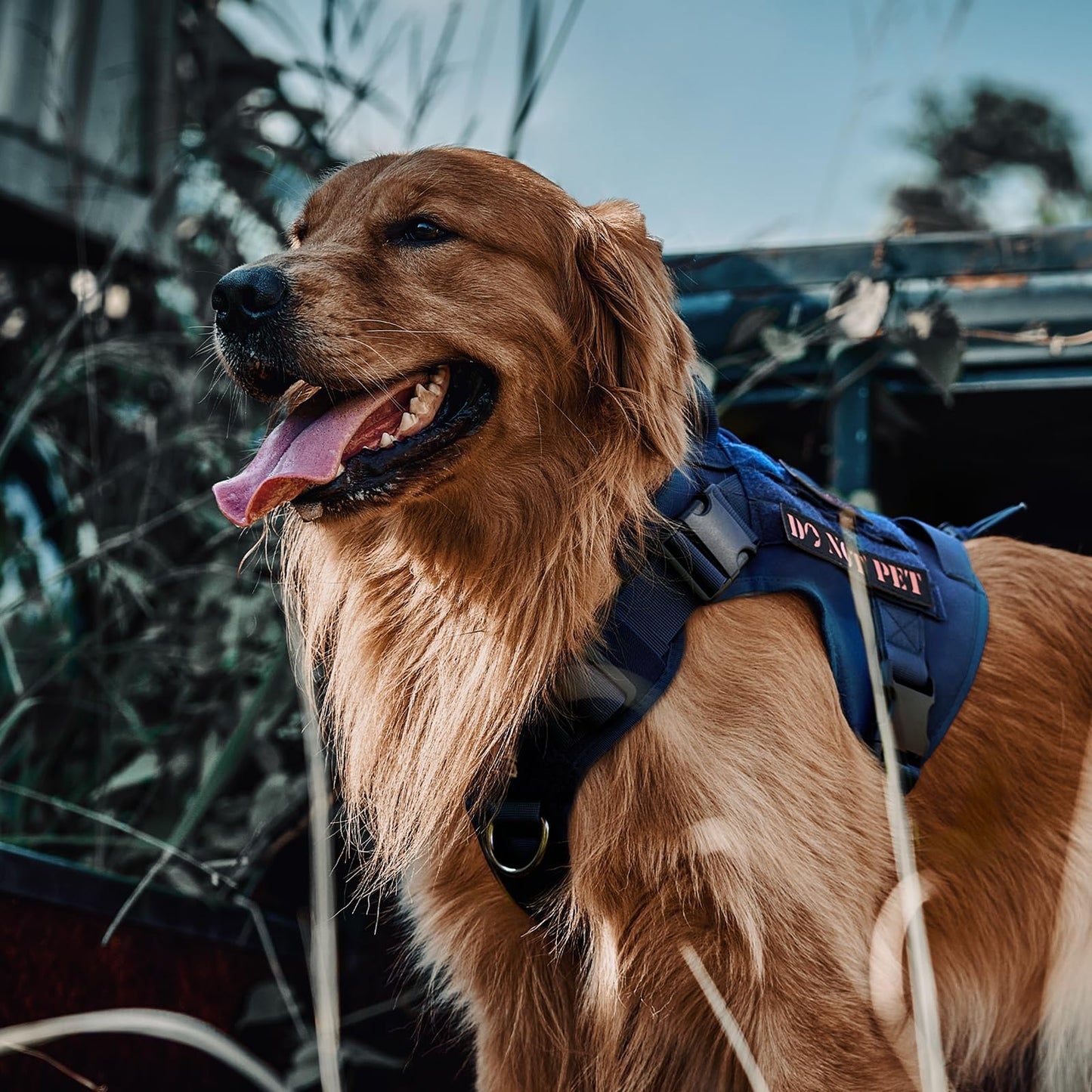 OneTigris Tactical Dog Harness - Fire Watcher Comfortable Patrol Vest (Black, Medium)