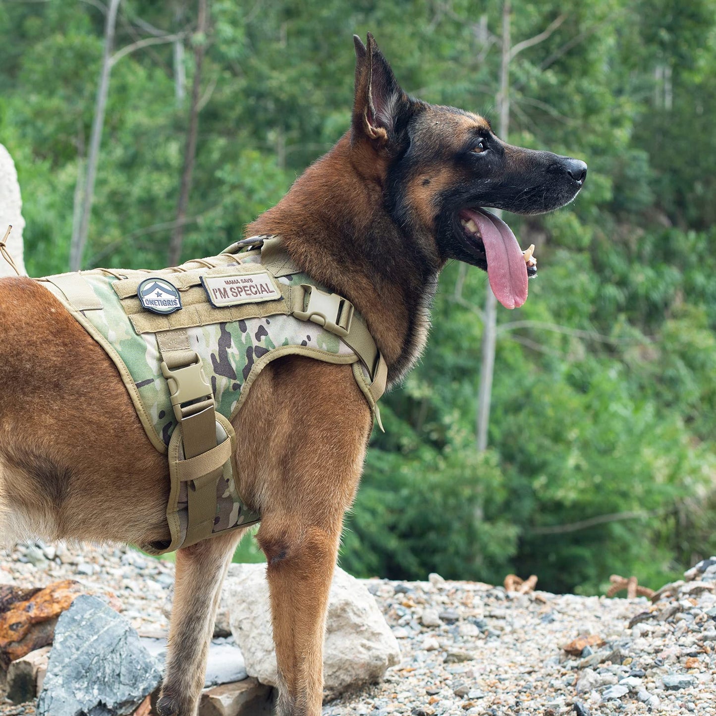 OneTigris Tactical Dog Harness - Fire Watcher Comfortable Patrol Vest (Black, Medium)