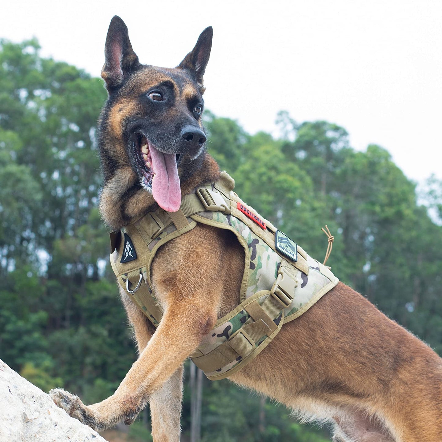 OneTigris Tactical Dog Harness - Fire Watcher Comfortable Patrol Vest (Black, Medium)