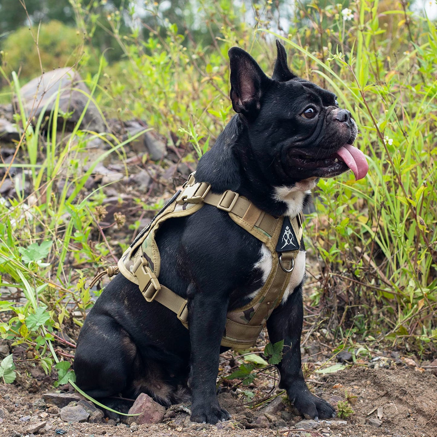 OneTigris Tactical Dog Harness - Fire Watcher Comfortable Patrol Vest (Black, Medium)