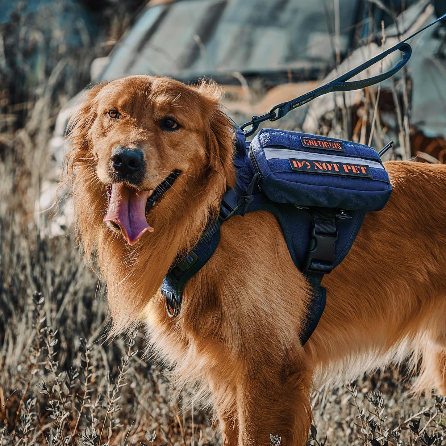 OneTigris Tactical Dog Harness - Fire Watcher Comfortable Patrol Vest (Black, Medium)