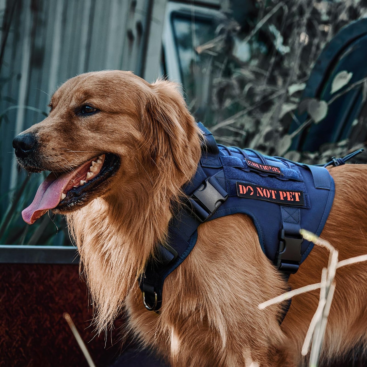 OneTigris Tactical Dog Harness - Fire Watcher Comfortable Patrol Vest (Black, Medium)