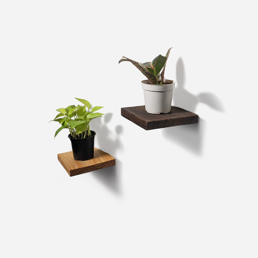 Modern Chopped Shelf