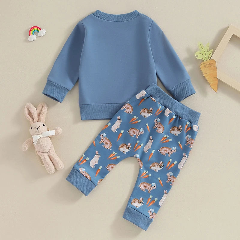 Baby Boys Clothes Set Long Sleeve Sweatshirt Bunny Carrot Print Pants