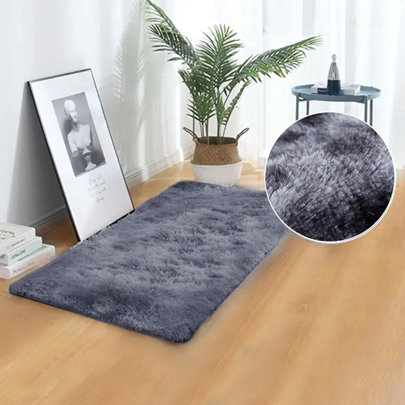 Thickened Household Floor Carpets