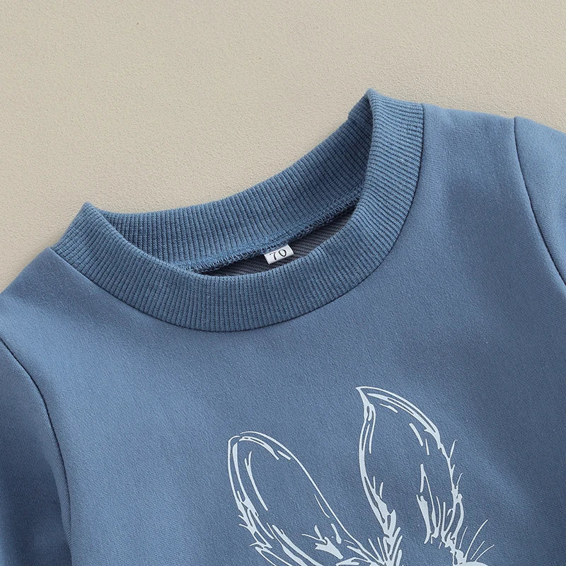 Baby Boys Clothes Set Long Sleeve Sweatshirt Bunny Carrot Print Pants