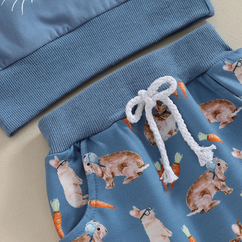 Baby Boys Clothes Set Long Sleeve Sweatshirt Bunny Carrot Print Pants
