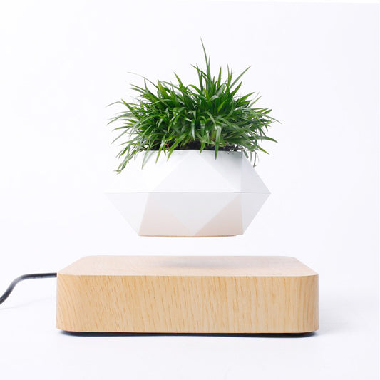 Modern Levitating Rotation Magnetic Planter