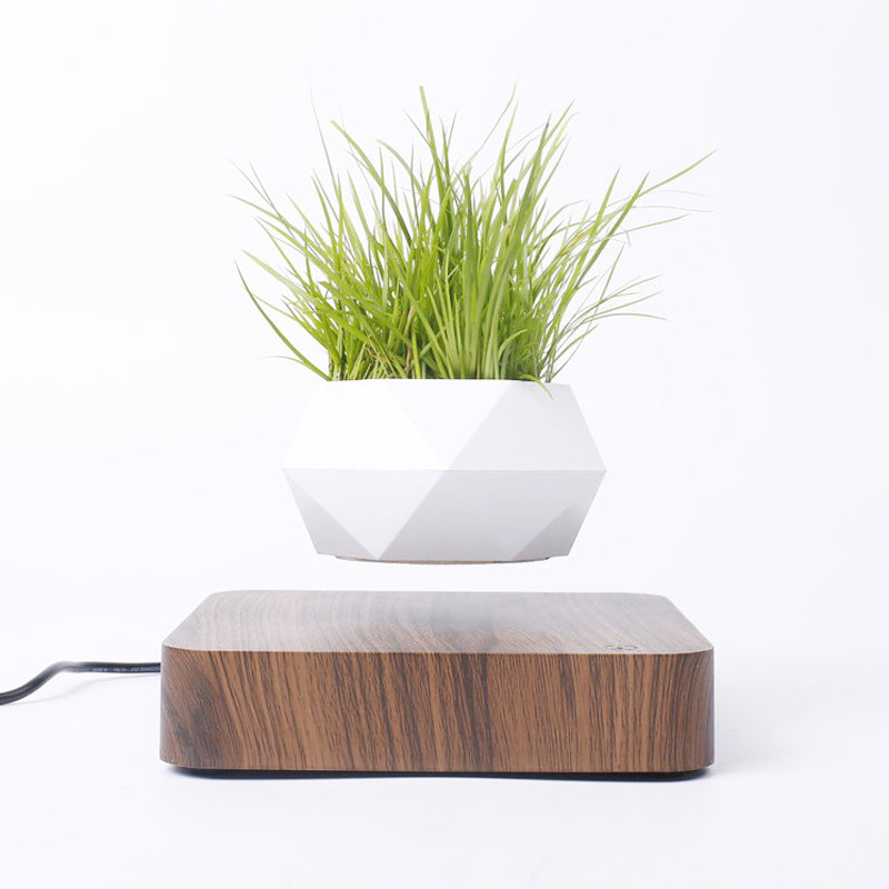 Modern Levitating Rotation Magnetic Planter