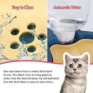 Elevated Tilted Food and Water Bowl Set